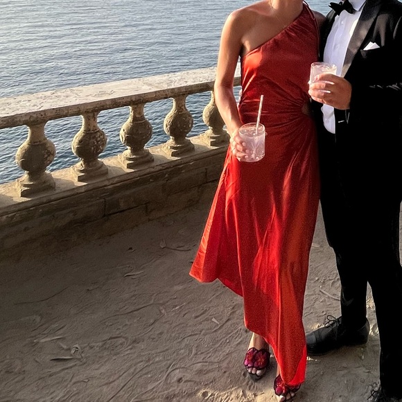 Cult Gaia Bellamy Dress - Picture 3 of 4